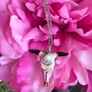 Beautiful Texas Longhorns